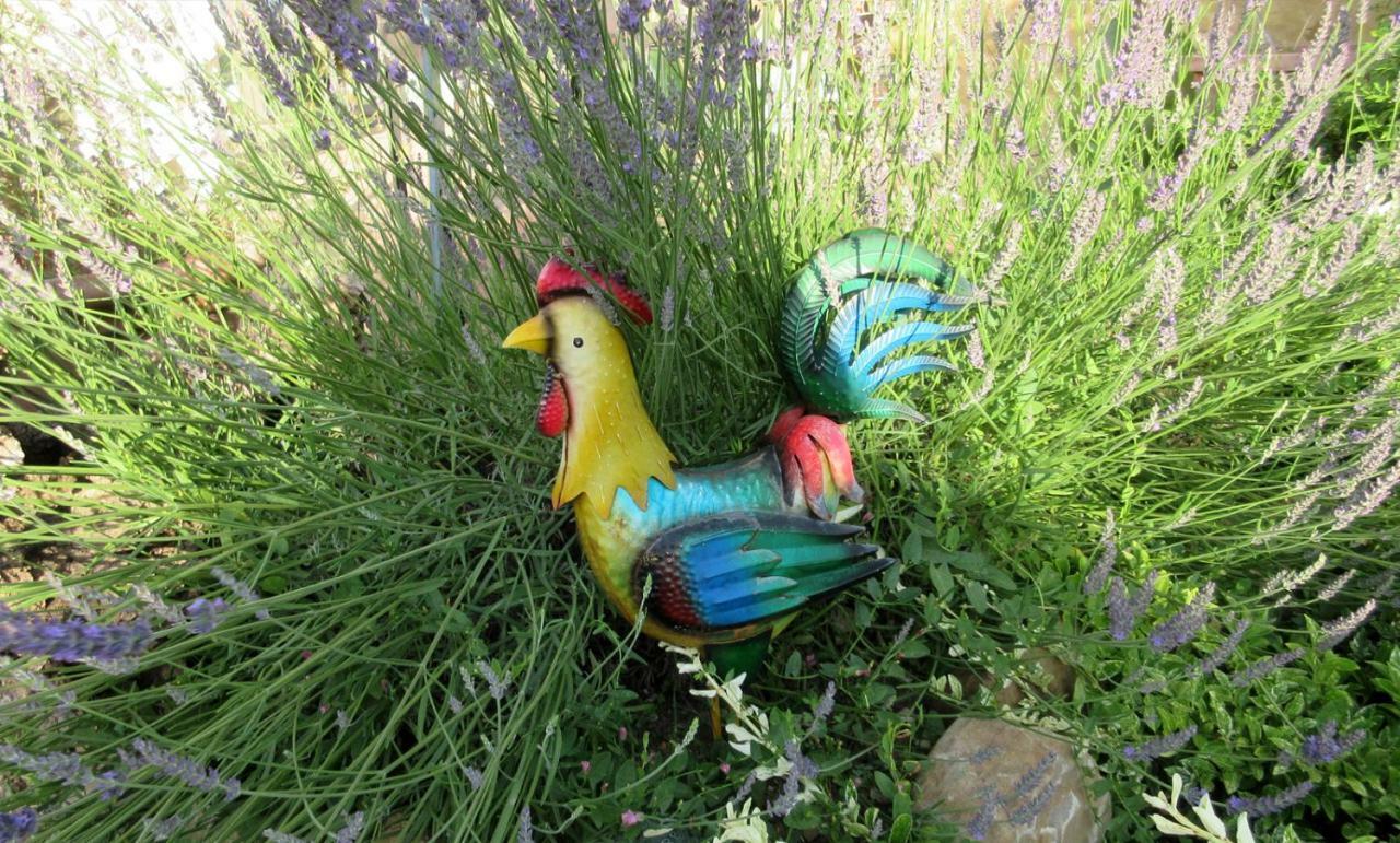 Podere Chiocciola ポッジボンシ エクステリア 写真