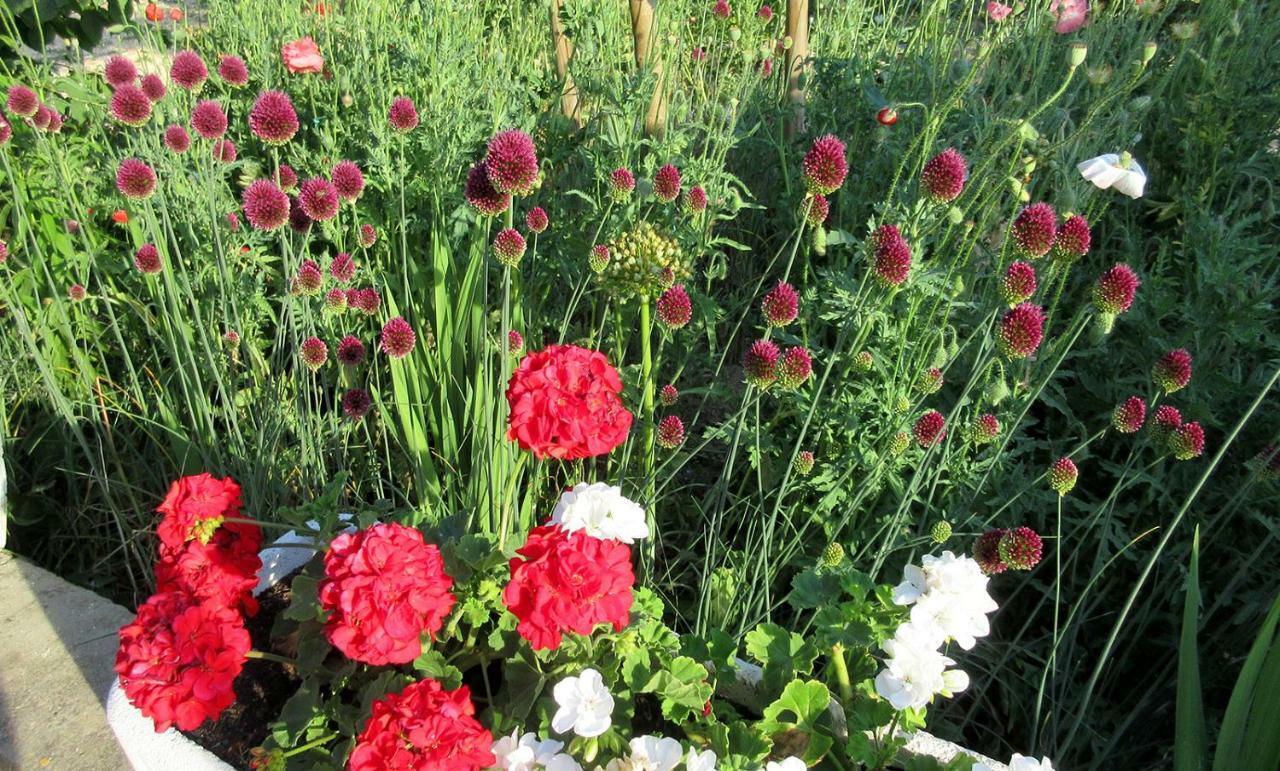 Podere Chiocciola ポッジボンシ エクステリア 写真